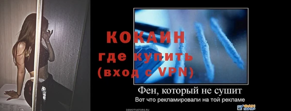стаф Абинск