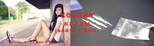 ешки Алексин