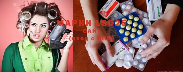 стаф Абинск